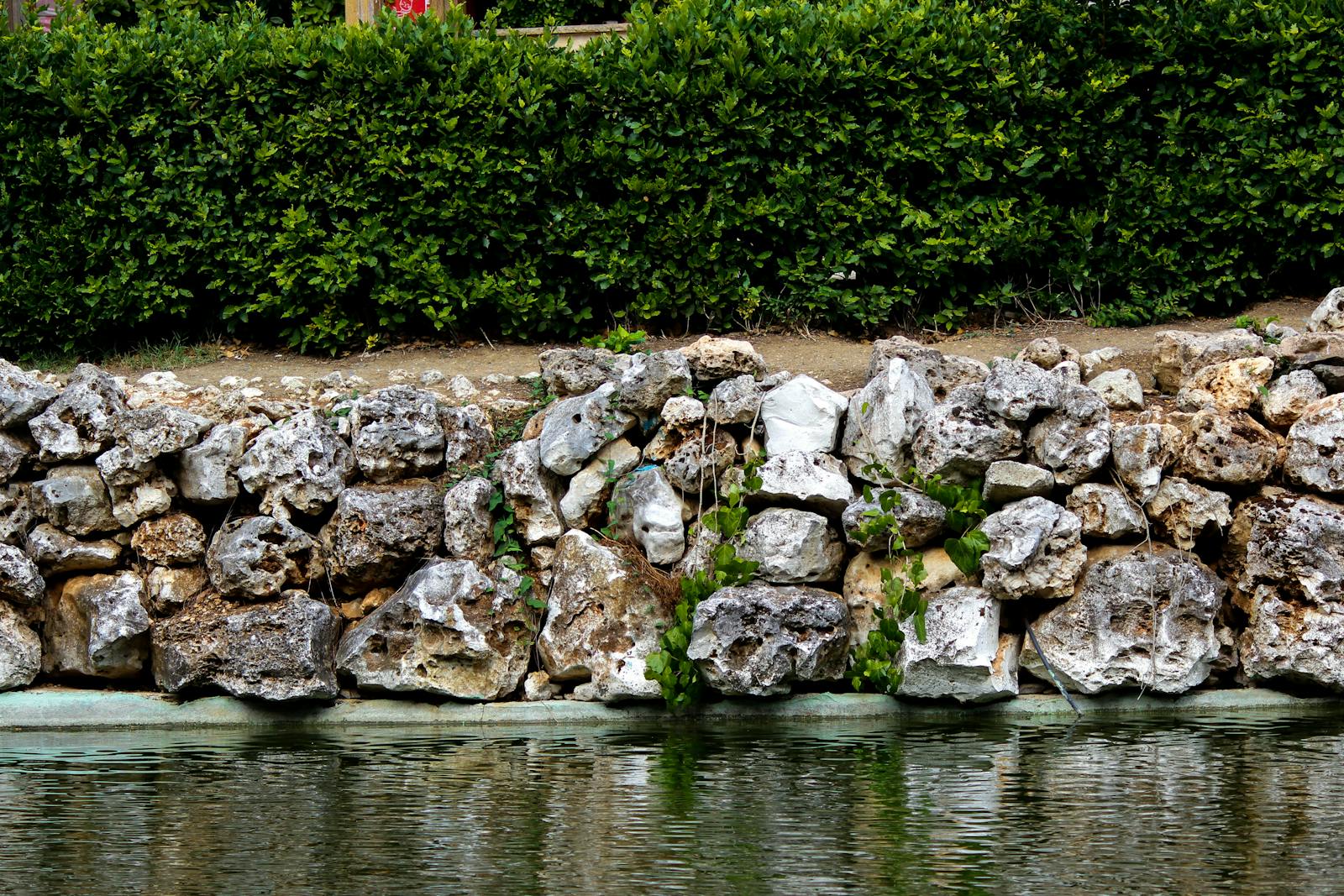 Stone retaining wall and tidy hedge in a foothills property.